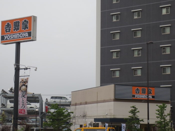 吉野家(その他飲食（ファミレスなど）)まで903m GRACE VILLA 光