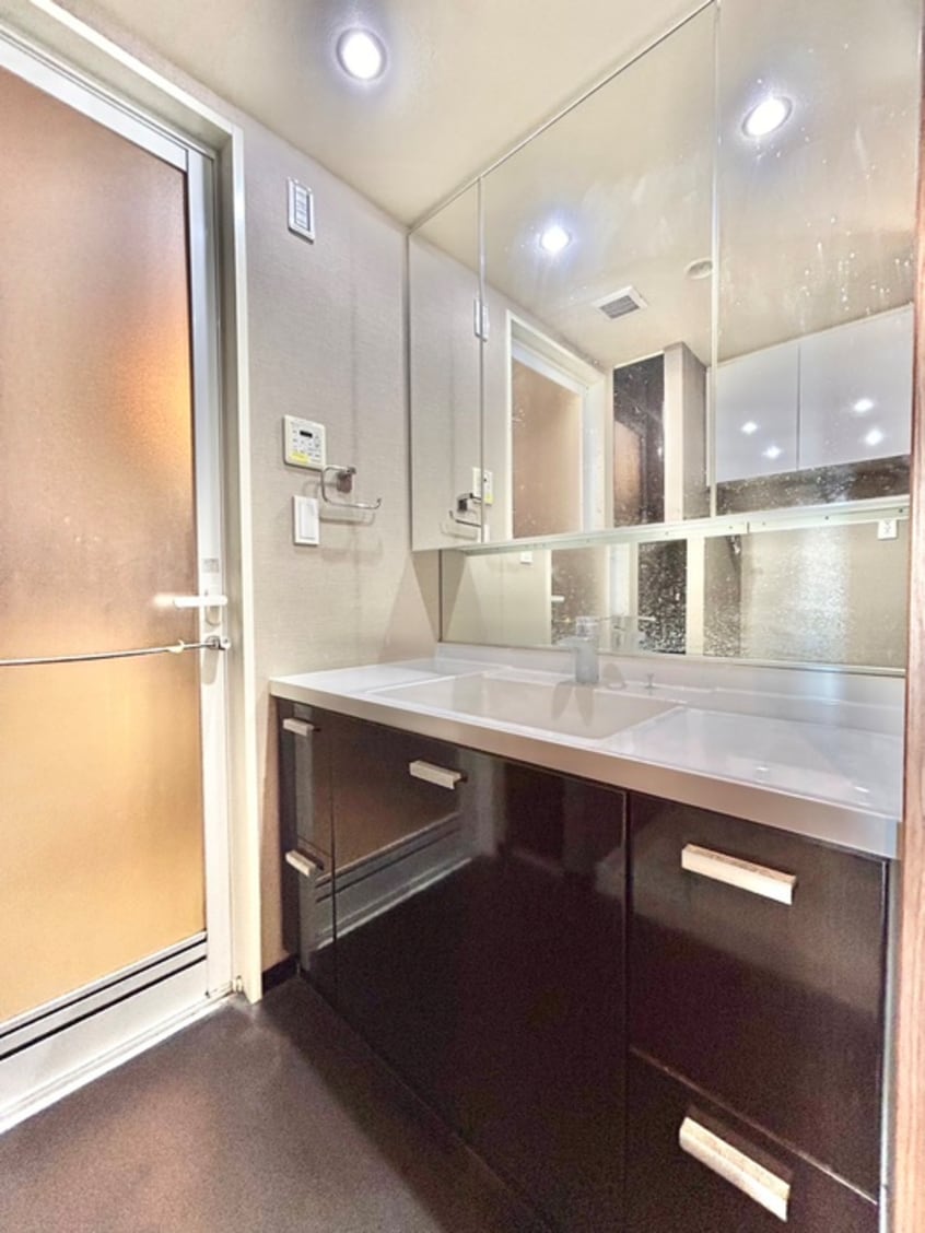 洗面 ｼﾃｨﾀﾜｰ池袋ｳｴｽﾄｹﾞｰﾄ(1502)