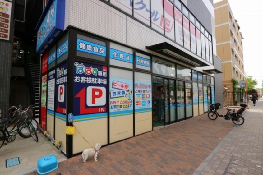 どらっぐぱぱす武蔵小杉店(ドラッグストア)まで316m コーポタグチⅡ