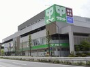 サミットストア砧環八通店(スーパー)まで275m GranDuo千歳船橋６