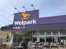 Welpark(ウェルパーク) 日野栄町店(ドラッグストア)まで522m エ－デルワイス