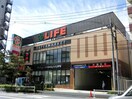 ライフ若松河田駅前店(スーパー)まで900m HJ PLACE ICHIGAYA