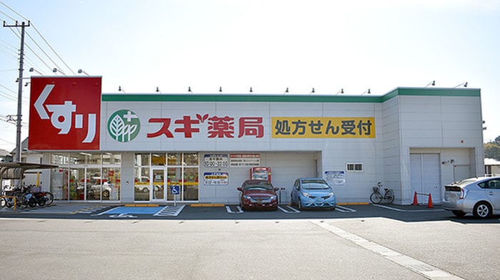 スギ薬局新橋町店(ドラッグストア)まで170m ベリッシマ