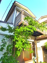 井神貸家