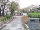 上谷本第一公園(公園)まで86m 藤ヶ丘マイシティ