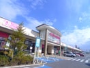 イオンタウン(ショッピングセンター/アウトレットモール)まで440m フィ－ルドドリ－ム弐番館