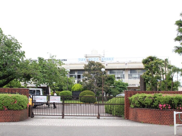 大沢小学校(小学校)まで1491m ラークタウン