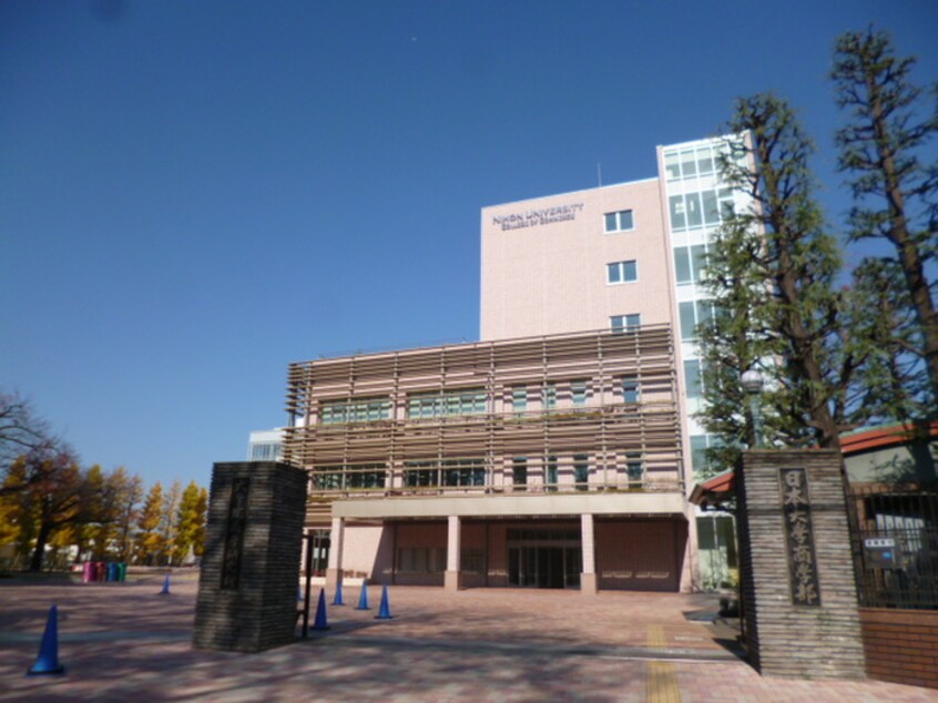 私立日本大学商学部(大学/短大/専門学校)まで770m 砧アクアハイツ