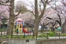 松波公園(公園)まで1200m リブリ・新千葉