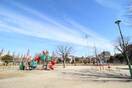 柳崎第3公園(公園)まで320m RIZEST　東浦和Ⅰ