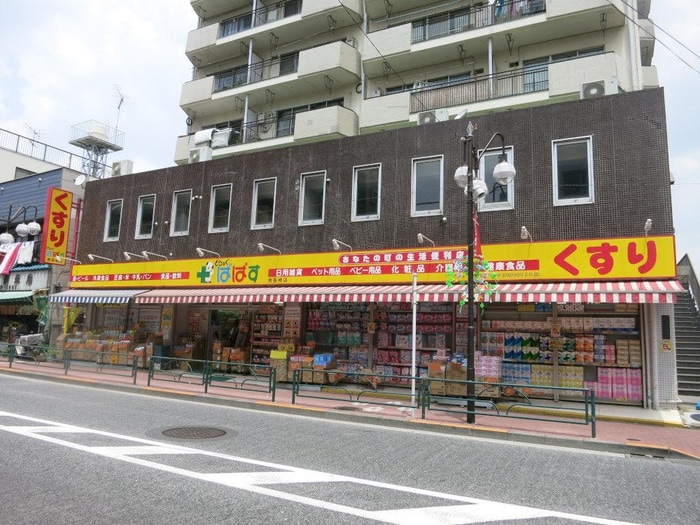 どらっぐぱぱす(ドラッグストア)まで86m 越後屋マンション