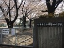 小平市立小平第四小学校(小学校)まで550m ＴＲフラッツ