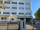横浜市立もえぎ野小学校(小学校)まで277m ドルフ藤が丘