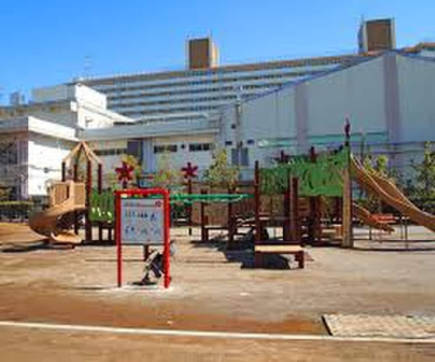 八広公園(公園)まで230m Ｍａｈａｌｏ　Ｔｅｒｒａｃｅ