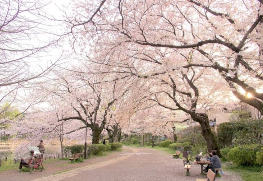 善福寺公園(公園)まで1000m Ｎｉｓｈｉｏｇｉ Ｈｏｕｓｅ Ｄ