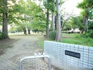 東越谷第二公園(公園)まで600m ワンダーハイツ