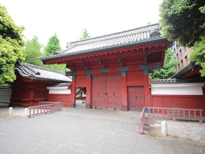 東京大学赤門(大学/短大/専門学校)まで353m ＰＡＴＩＯ　ＤＥ本郷