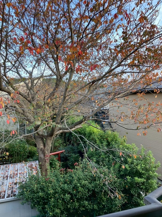 室内からの展望 ヴィラアシェンダ