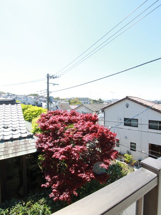 室内からの展望 ＭＴハイム