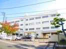 もえぎ野小学校(小学校)まで1160m ヒロック藤が丘Ⅱ