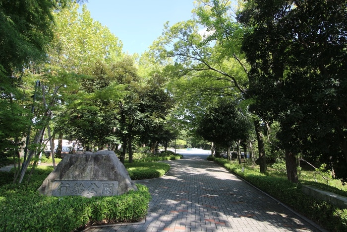行船公園(公園)まで481m モデラ－トハイツ