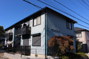 ラディッシュセイタ