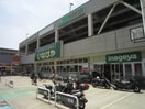 いなげや 横浜西寺尾店(スーパー)まで772m プラナス大口Ⅰ