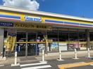 ミニストップ和泉多摩川駅前店(コンビニ)まで263m ハイツルミエ－ル