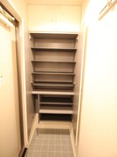 靴箱 ラピュタ　ウイングス