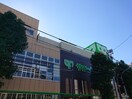 サミットストア　鷺宮店(スーパー)まで292m メゾンドフローレ野方