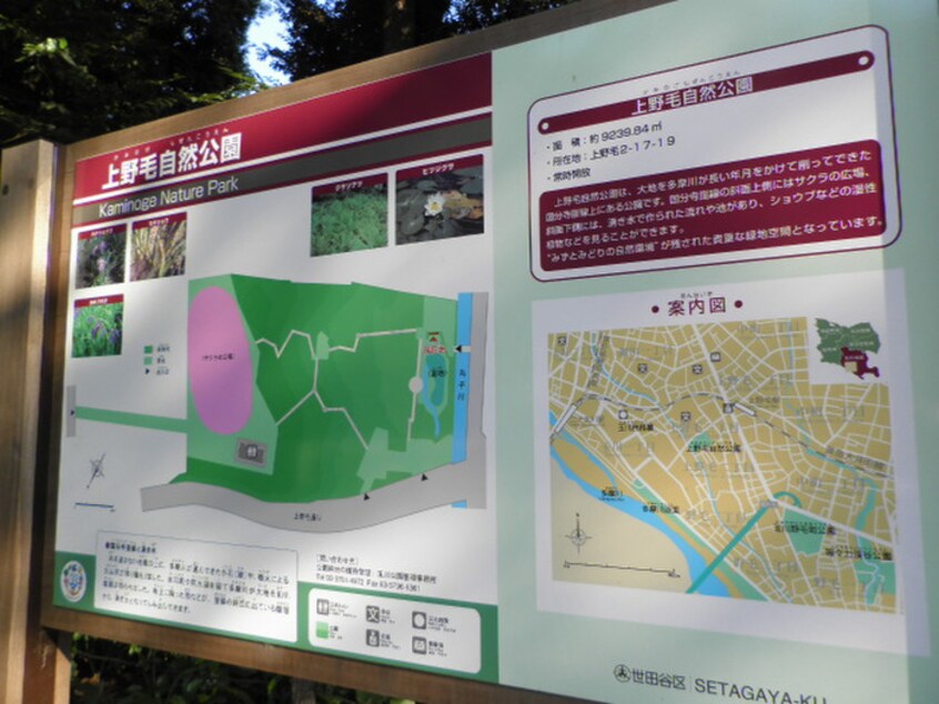 上野毛自然公園(公園)まで319m FORTUNA KAMINOGE