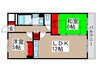 ピュアコ－ト柏 2LDKの間取り