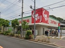 スギ薬局(ドラッグストア)まで904m カ－サ沙羅樹