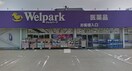 ウェルパーク上鶴間店(ドラッグストア)まで450m クレスト相模大野