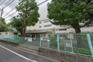 杉並区立四谷小学校(小学校)まで129m グリーンパレス柿木