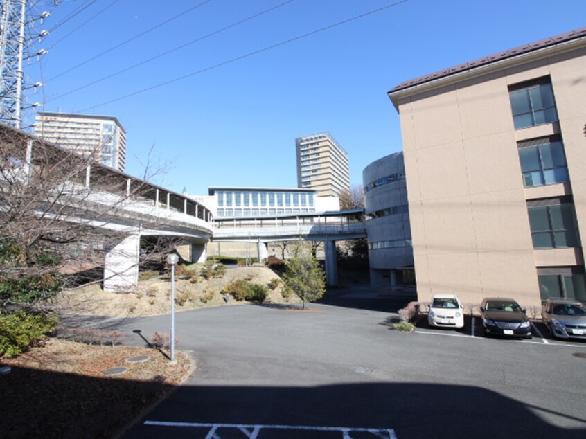 明星大学(大学/短大/専門学校)まで375m モイスペンテⅠ