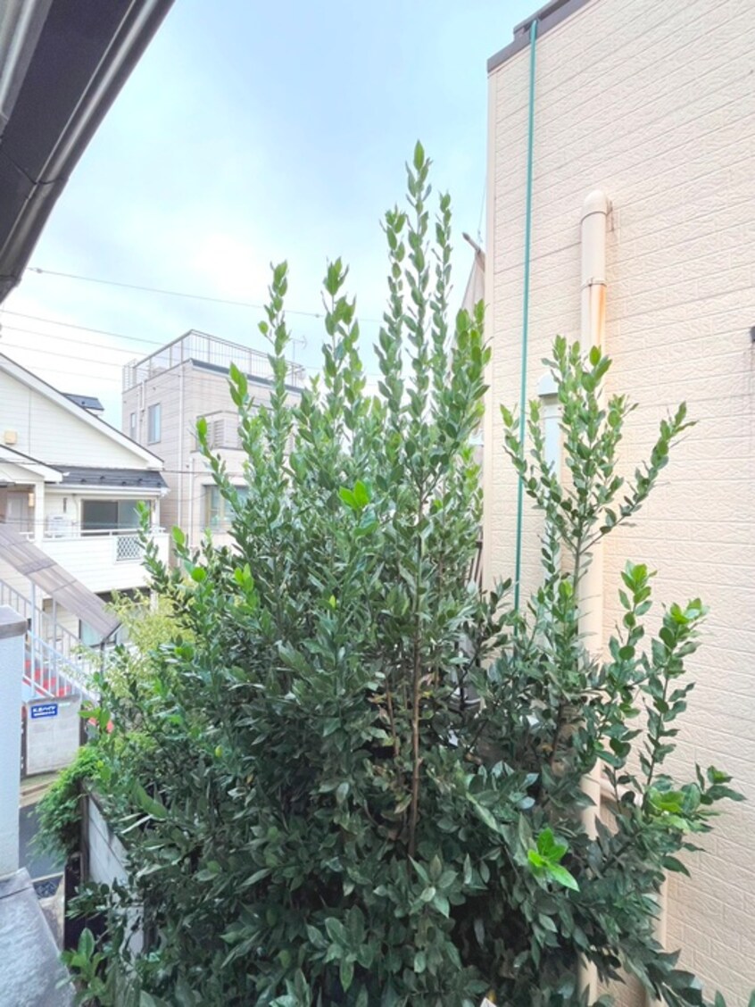 室内からの展望 ｸｩｲﾝﾃｯﾄ