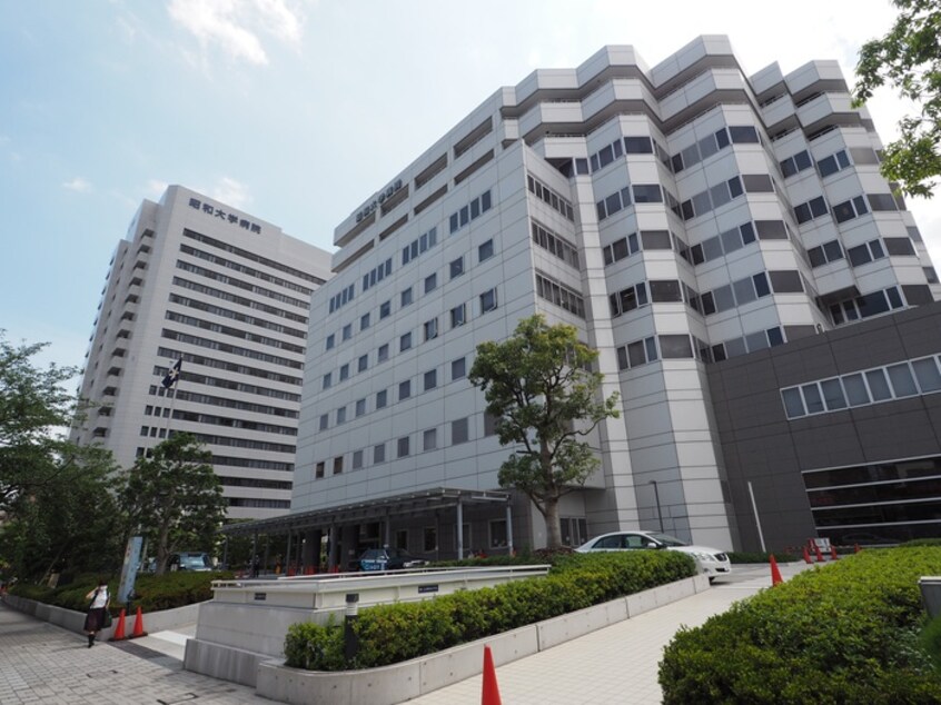 昭和大学病院(病院)まで700m 駿河荘