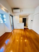 居室 カスタリア銀座