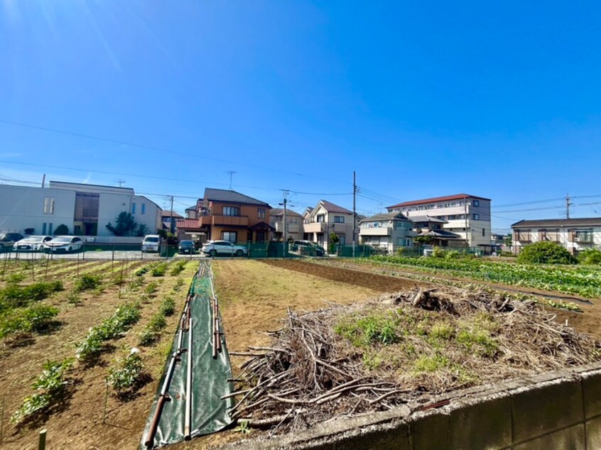 室内からの展望 第１ハイア－ル