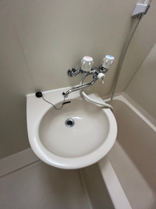 洗面 セントラルパレス