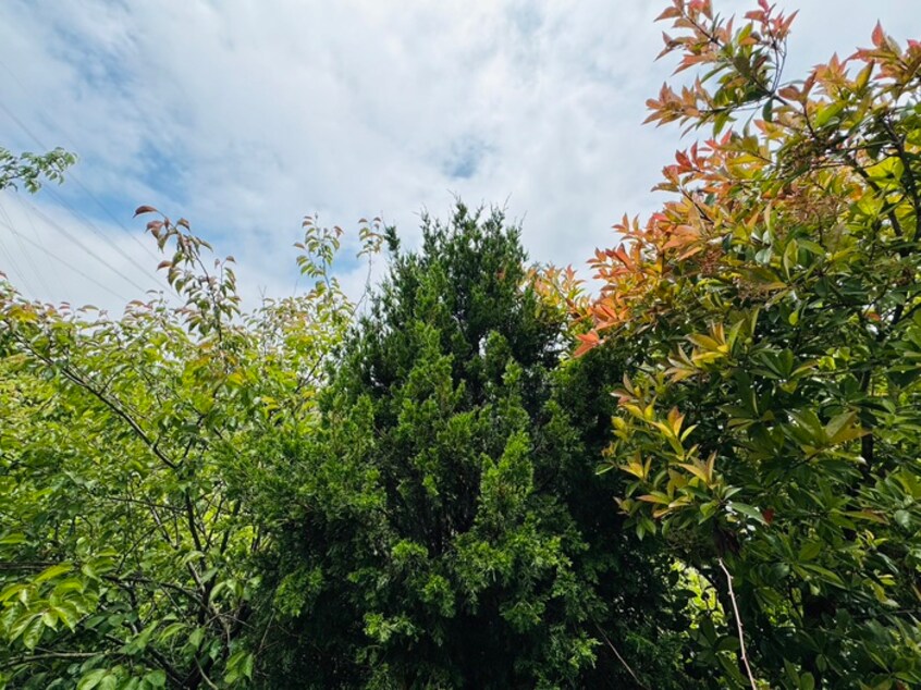 室内からの展望 ヒルズ北村