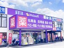 ウェルパーク(ドラッグストア)まで273m 第一福寿ビル