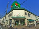 マルエツ(スーパー)まで710m 伊興１丁目店舗付き住宅