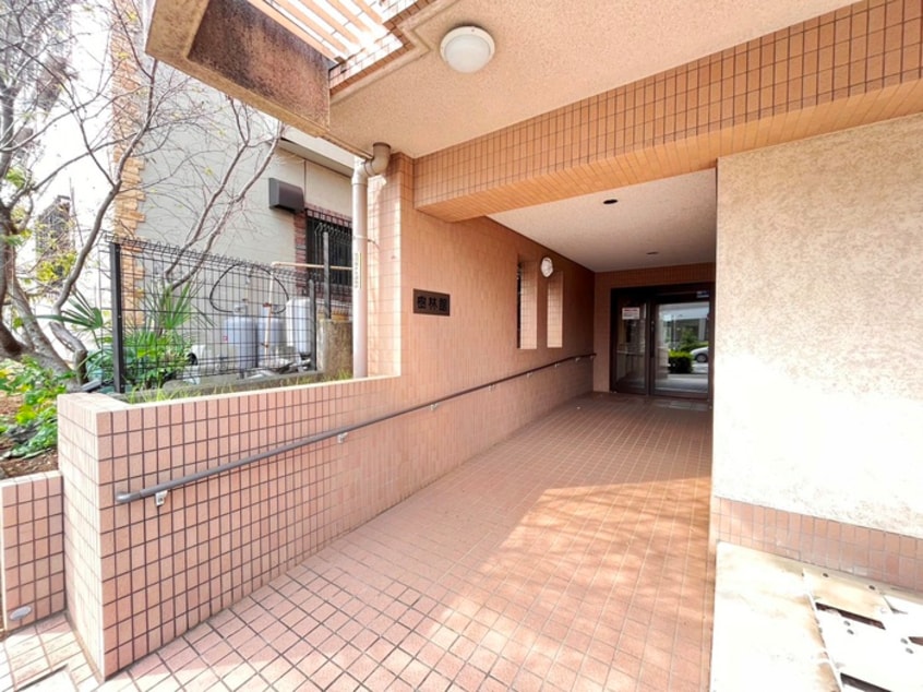 エントランス部分 樹林館
