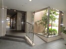 エントランス部分 アネシス湘南