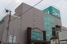 ニトリ(ショッピングセンター/アウトレットモール)まで1100m ルーブル横濱矢向