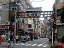 仲宿商店街(ショッピングセンター/アウトレットモール)まで505m コ－ポ桂