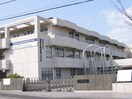 神奈川県立産業技術短期大学(大学/短大/専門学校)まで450m アズ－ルナカオ