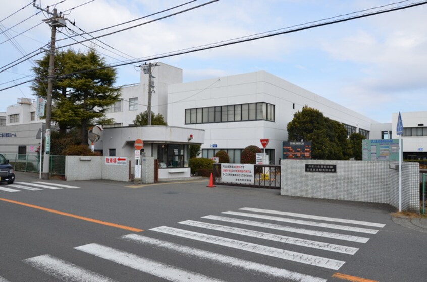 神奈川県運転免許センター(警察署/交番)まで500m アズ－ルナカオ